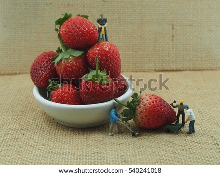 miniature people team with Strawberry