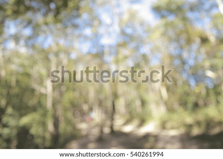 Abstract blur pastel forest blur background