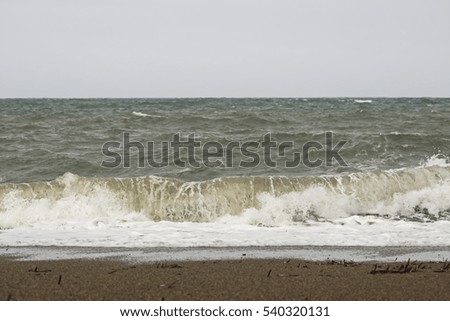 Breaking wave on the beach