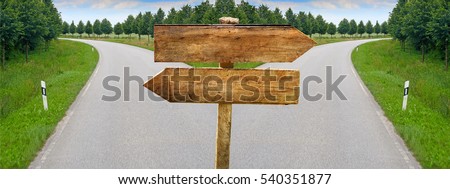 Splitting road with blank crossroad wooden blank signs Royalty-Free Stock Photo #540351877