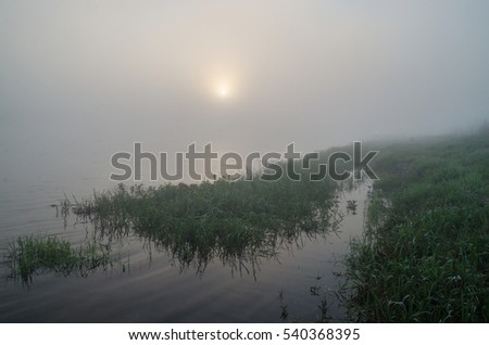 Spring fog morning and sunrise moment