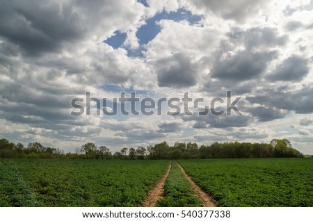 field and clouds