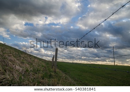 Cloudy field