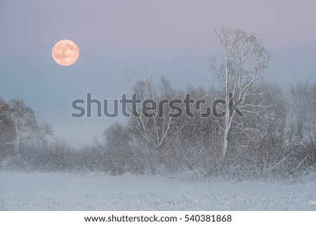 Full moon rise in winter