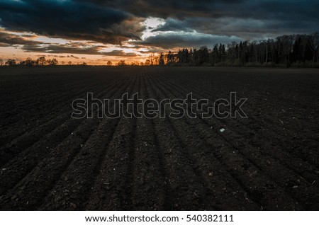 sunset and field