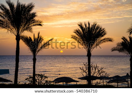 Sunrise in sharm el sheikh Royalty-Free Stock Photo #540386710