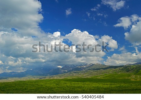 Green meadow with mountains in background, Haidarkan area, Kyrgyzstan