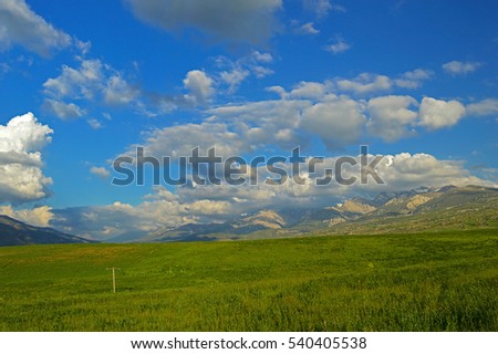 Green meadow with mountains in background, Haidarkan area, Kyrgyzstan