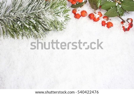 Christmas / Winter border design with snow covered pine needles and berries with a copy space on white background. Winter time. Holiday concept.
