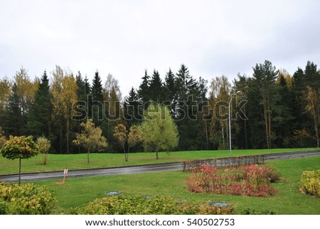 Autumn park landscape in the ski resort `Silichi`, Belarus