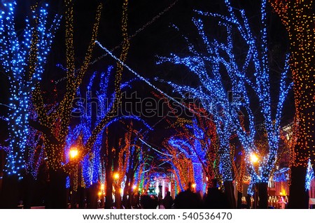 festive night city. trees in colorful lights garlands.
