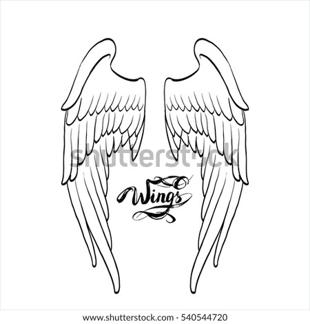 angel wings vector, lettering, drawing