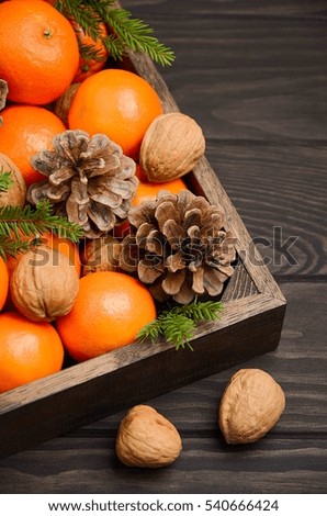 Fresh tangerine clementine with nuts and cones in wooden tray on dark wooden background. Selective focus, vertical.