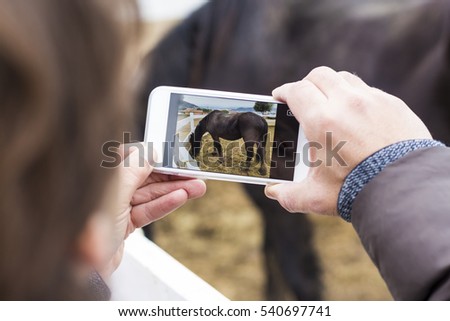 Man taking picture of a horse with a smartphone