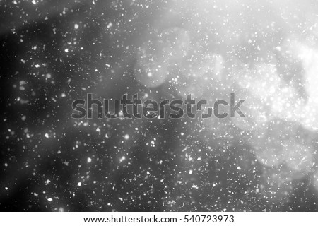 Snowfall isolated on black background. round bokeh or snowflakes particles . Design element