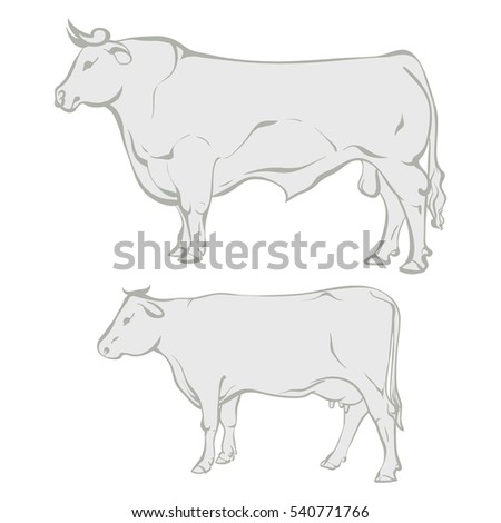 Vector illustration. Hand drawing on a graphic tablet. Silhouette of a bull and cow.