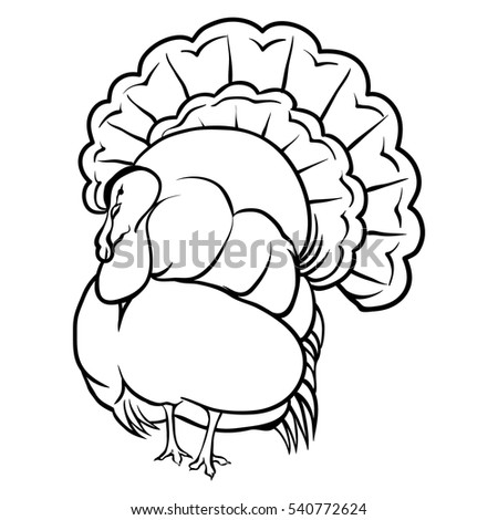 Vector illustration on a graphic tablet. Hand drawing. Silhouette of turkeys.