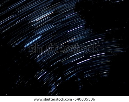 stars trail  in forest background
