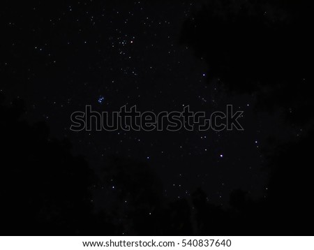 Night stars in sky with forest background