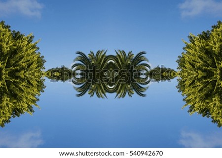 Abstract arrangement of Palm trees overhead view. Flat of leaves creative bohemian mandala for social media timeline, invitation greeting card, vintage wedding blog. Image with symmetry filter effect