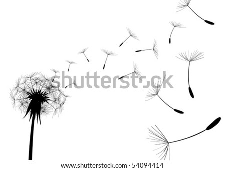 Blow Dandelion on white background Royalty-Free Stock Photo #54094414