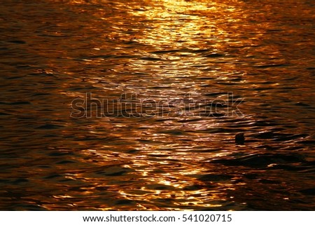 Glittering golden water surface when lighted by the sunset