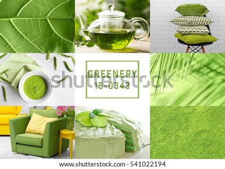 Trendy color concept. Set with greenery color Royalty-Free Stock Photo #541022194
