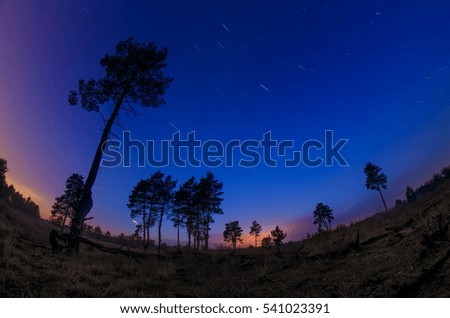 Night landscape with tracks of stars in the forest area with beautiful high trees. Nice outdoor wallpaper.