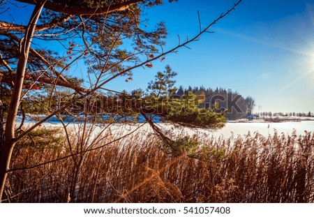 View of the frozen lake through the trees