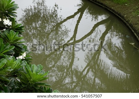 Reflection in water