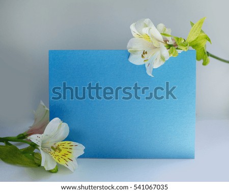 frame made of flowers and blue background for text