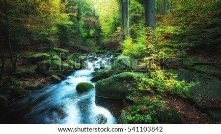Little creek in forest
