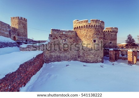 tower fortress under the snow, note shallow depth of field