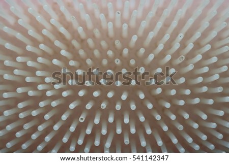 Top view of plastic comb texture background