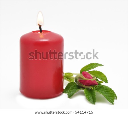 Picture of conflagrant candle and wild rose on a white background
