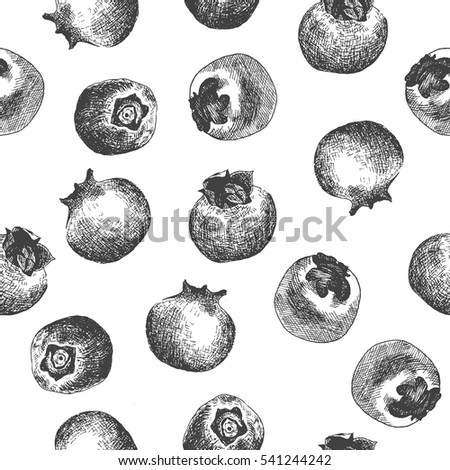 Seamless pattern design or background with blueberry. Hand drawn illustration by ink and pen sketch set. Elements include drawing and their own background shape.