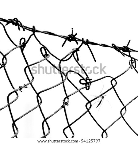 wire fence isolated on white for backgrounds