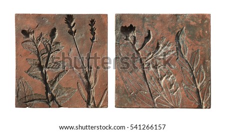 Composition of clay imprints of medicinal herbs and common garden plants - Mentha, Levandula, Hosta and Buxus sempervirens