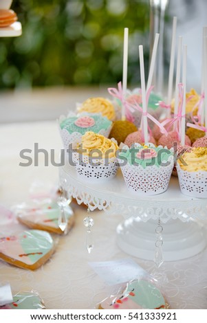 Wedding candy bar full of colorful dessert lollipops, cupcakes, macaroons, cookies and marshmallow. Wedding or birthday party table.