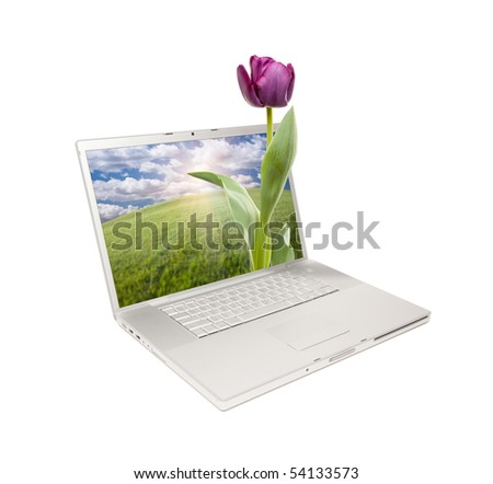 Silver Computer Laptop Isolated with Purple Tulip Extruding the Monitor Screen.
