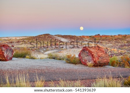 Petrified logs in the Painted desert and Petrified forest national park with full moon, Arizona, USA Royalty-Free Stock Photo #541393639