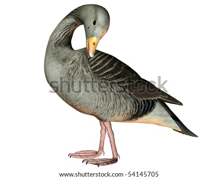 3D rendering of a cleaning itself goose