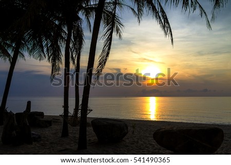 Silhouette stone and coconut at  Ban Krut Beach, Prachuap Khirikhun Province Thailand