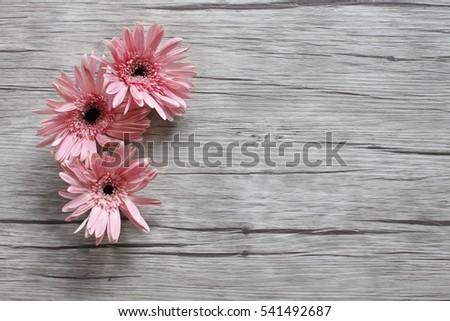 chrysanthemum flowers on a wooden board