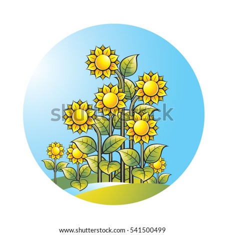 color flowers with plant over blue sky-vector drawing