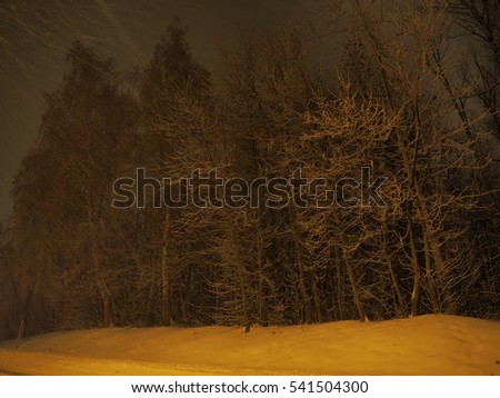 Frozen trees night view during heavy snow
