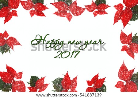 Border picture frame of red christmas flowers on a white background, happy new year and merry xmas
