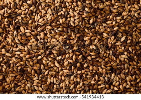Close photo up of malt grains Royalty-Free Stock Photo #541934413