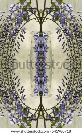 Aerial view of blooming lilac flowers on vintage table. Blue Japanese wisteria with soft and delicate little blossoms for wedding, birthday, valentine's day love concept, image with symmetry filter