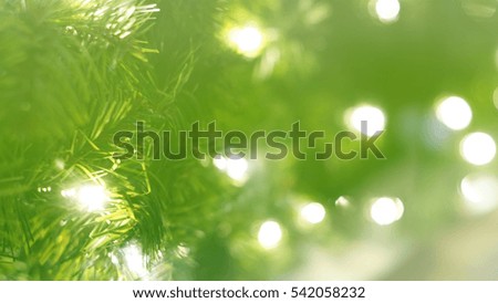 Abstract Christmas green lights fir tree bokeh background